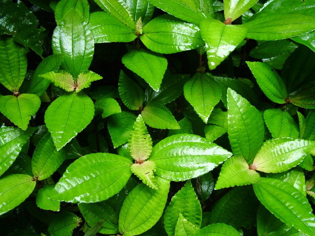 DSCF2905.JPG