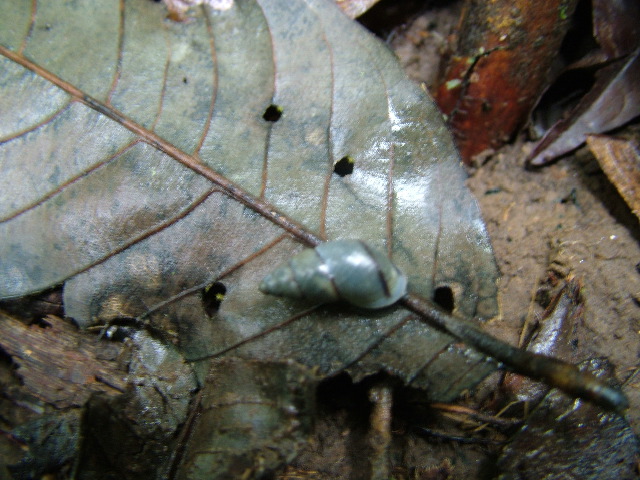 DSCF2906.JPG