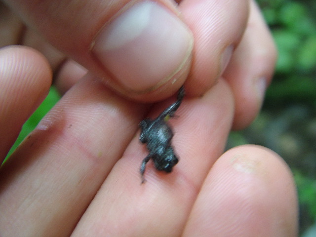 DSCF2909.JPG