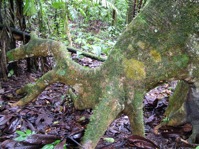 DSCF2913.JPG