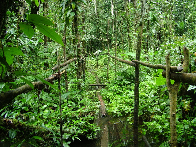 DSCF2919.JPG