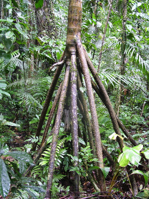 DSCF2923.JPG