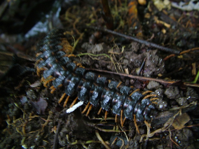 DSCF2924.JPG