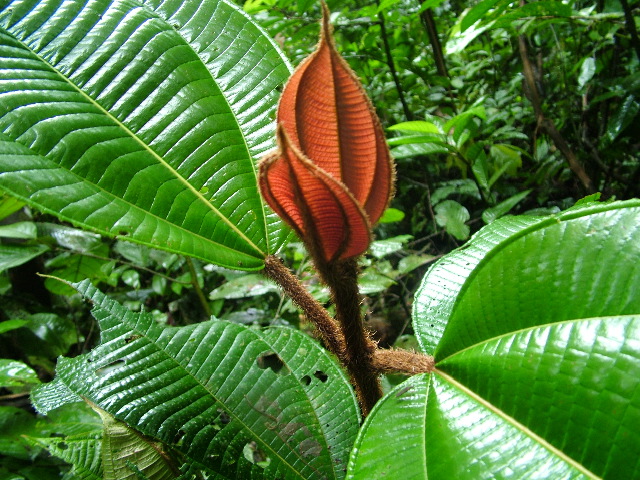 DSCF2927.JPG