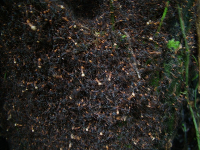 DSCF2930.JPG