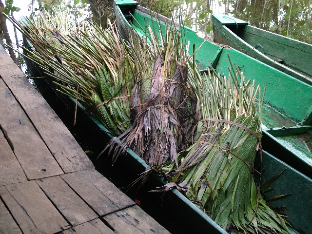 DSCF2932.JPG