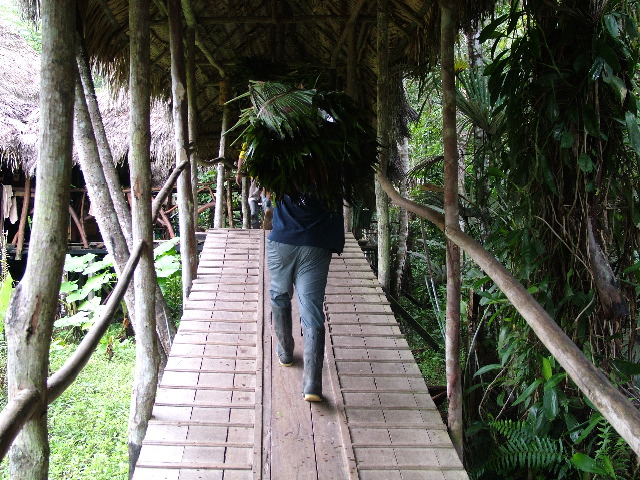 DSCF2934.JPG