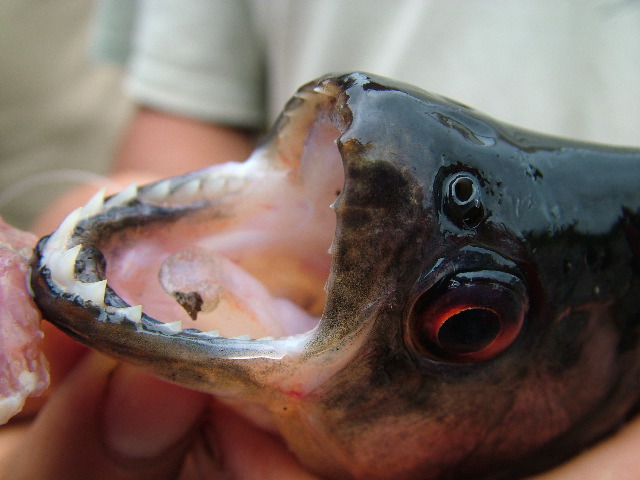 DSCF2937.JPG