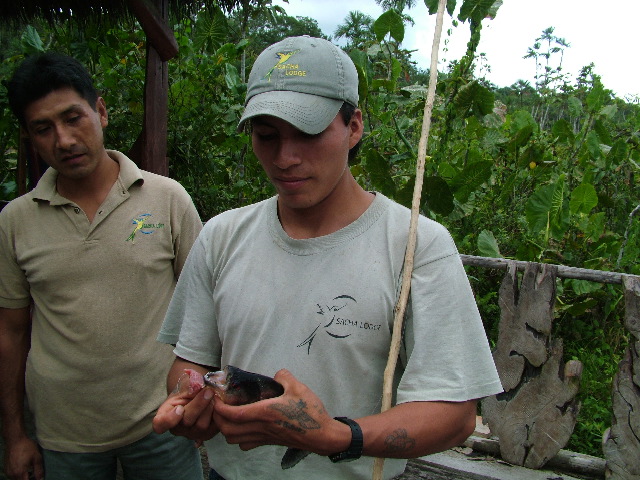 DSCF2938.JPG