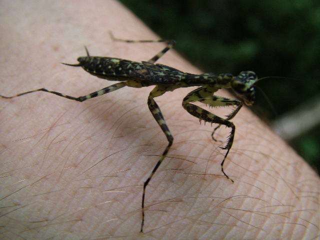 DSCF2944.JPG