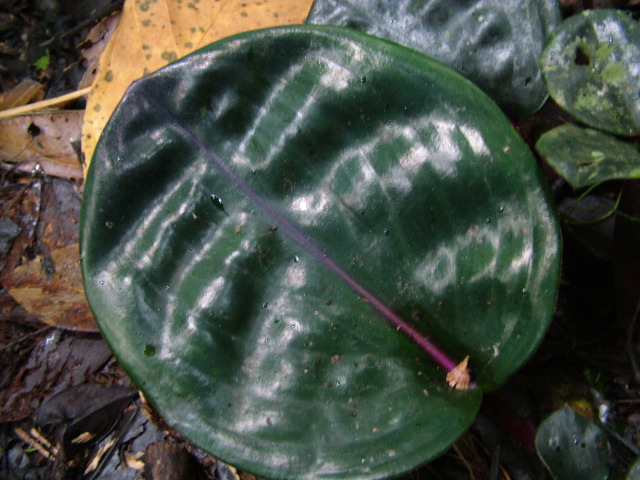 DSCF2946.JPG