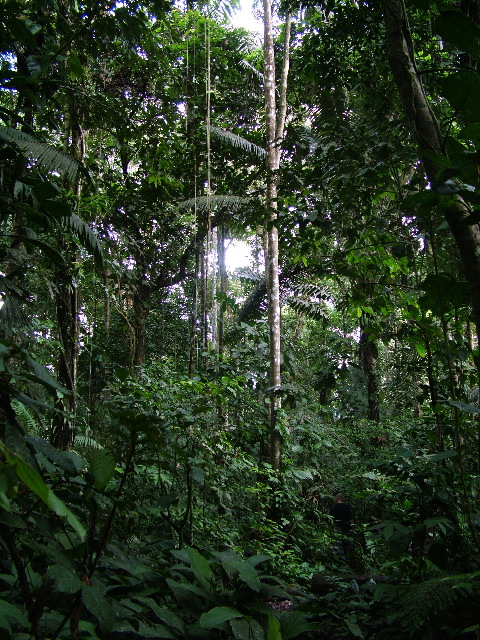 DSCF2947.JPG