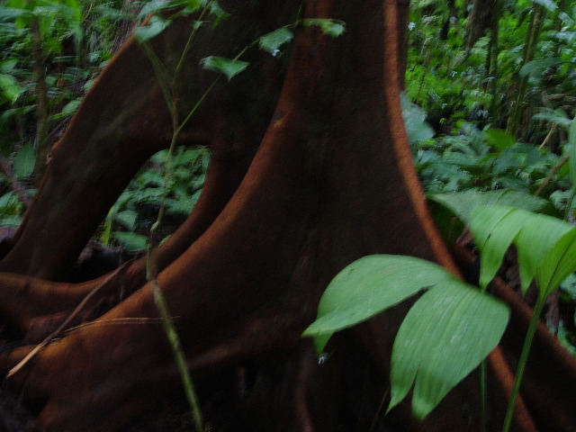 DSCF2948.JPG