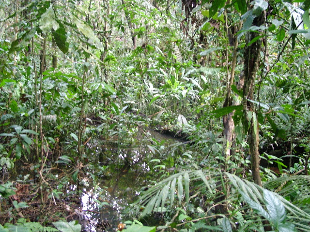 DSCF2950.JPG