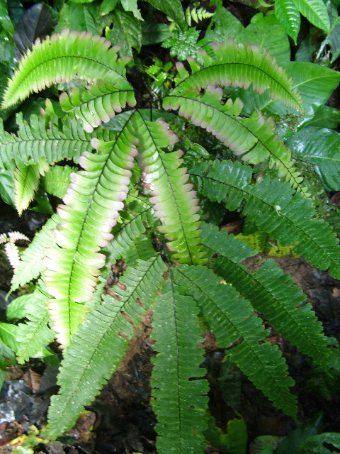 DSCF2952.JPG