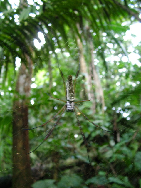 DSCF2953.JPG