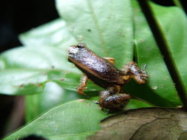 DSCF2955.JPG