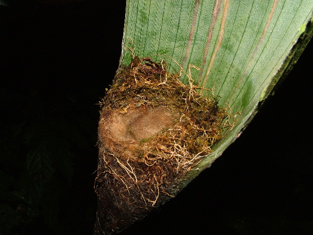 DSCF2958.JPG