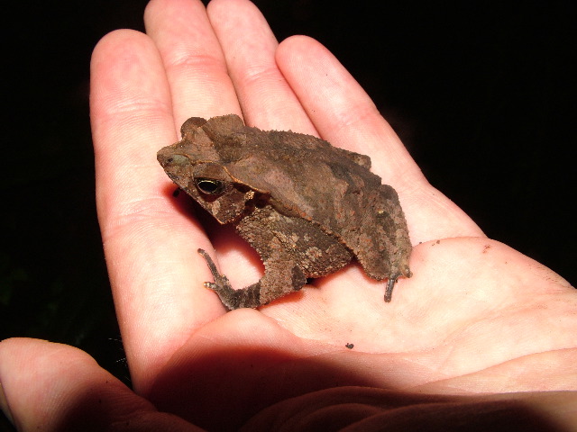 DSCF2959.JPG