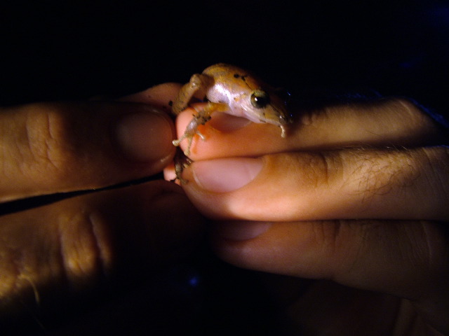 DSCF2962.JPG