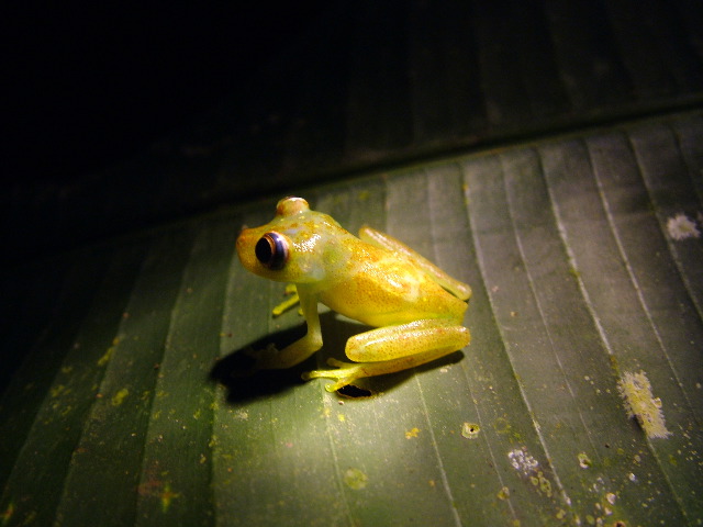 DSCF2964.JPG