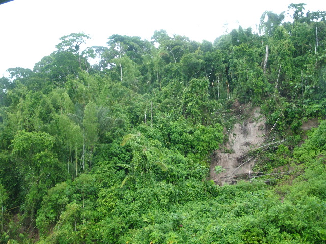 DSCF2967.JPG