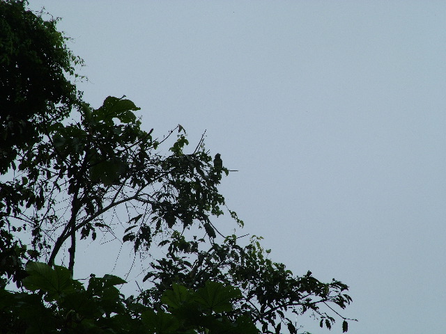 DSCF2969.JPG