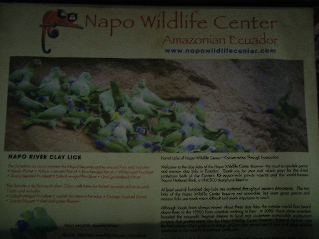 DSCF2970.JPG