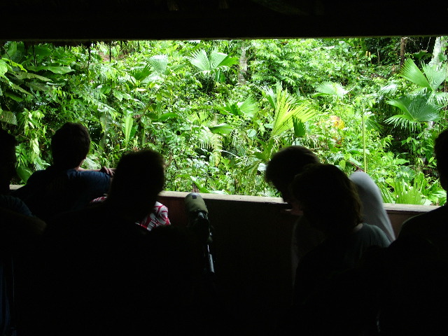 DSCF2972.JPG