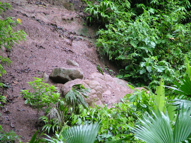 DSCF2974.JPG