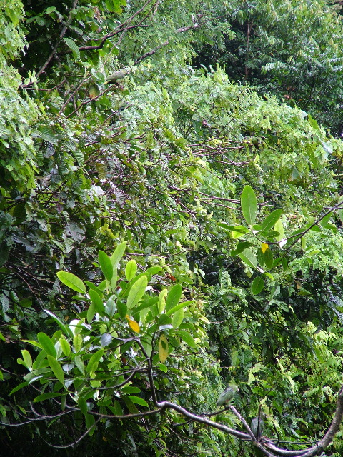 DSCF2976.JPG