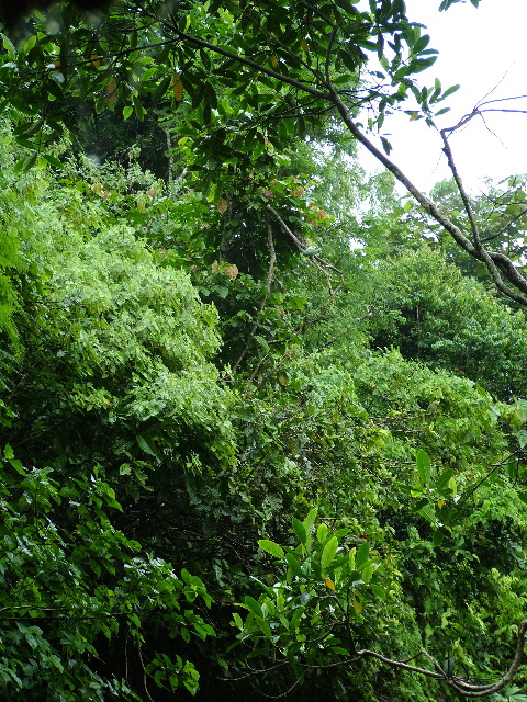 DSCF2977.JPG