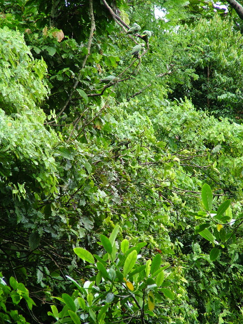 DSCF2978.JPG