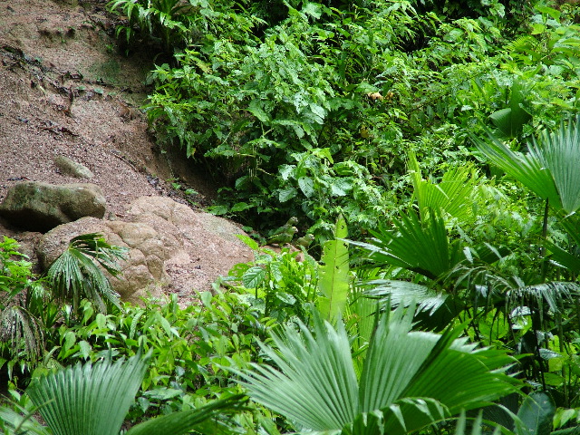 DSCF2980.JPG