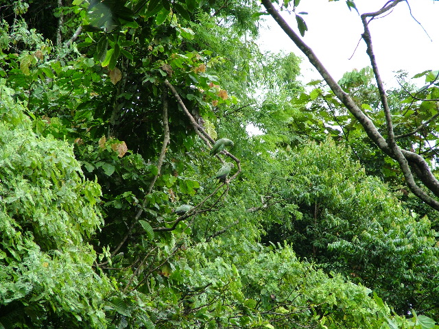 DSCF2981.JPG