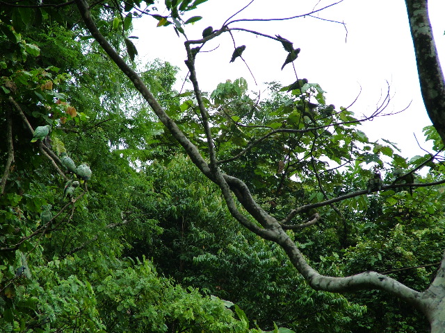DSCF2987.JPG