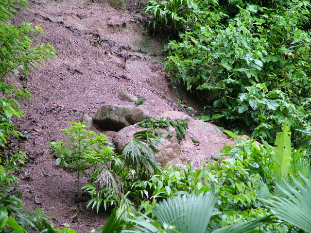 DSCF2991.JPG