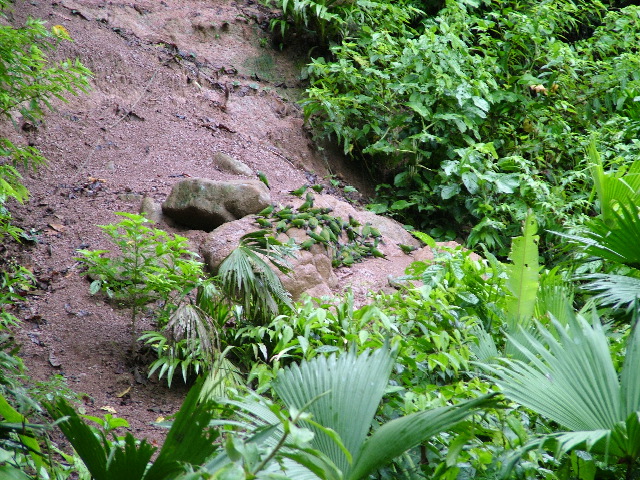 DSCF2993.JPG