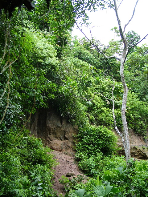 DSCF2996.JPG