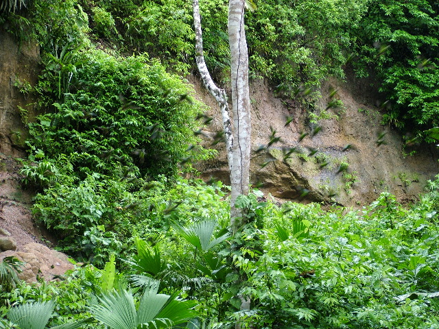 DSCF2999.JPG
