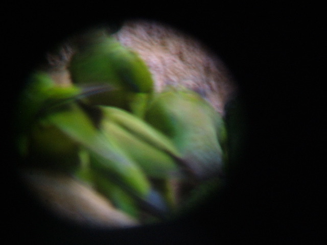 DSCF3000.JPG