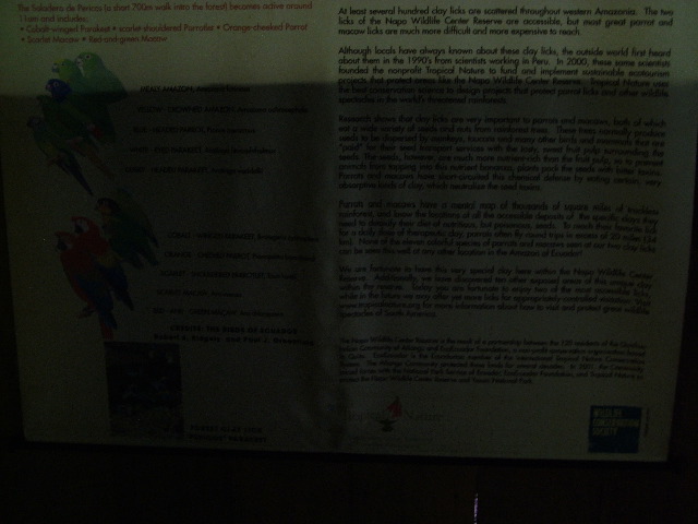 DSCF3003.JPG