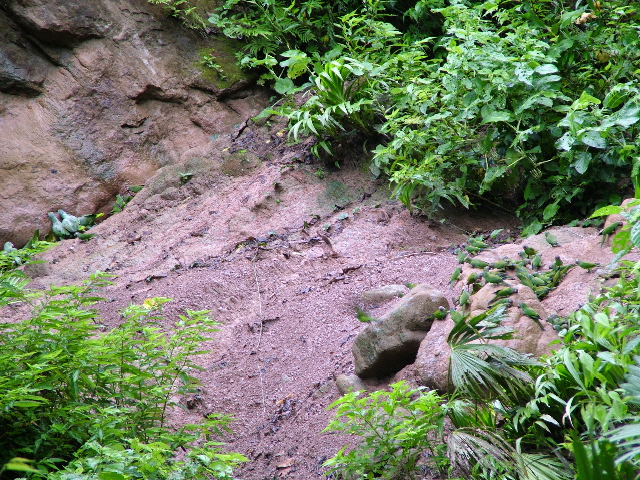 DSCF3004.JPG