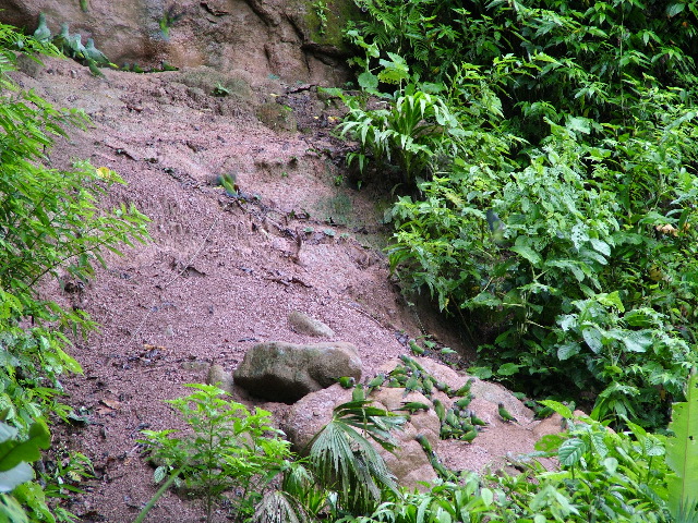 DSCF3005.JPG