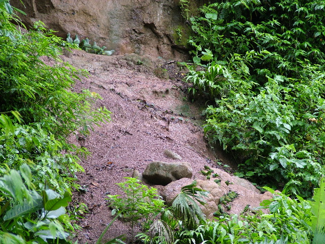 DSCF3007.JPG