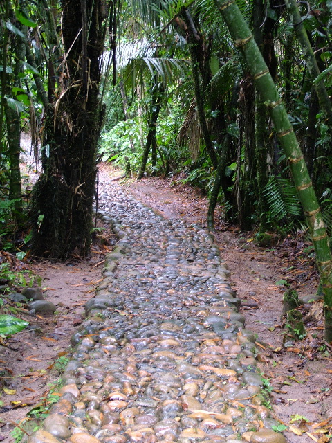 DSCF3009.JPG