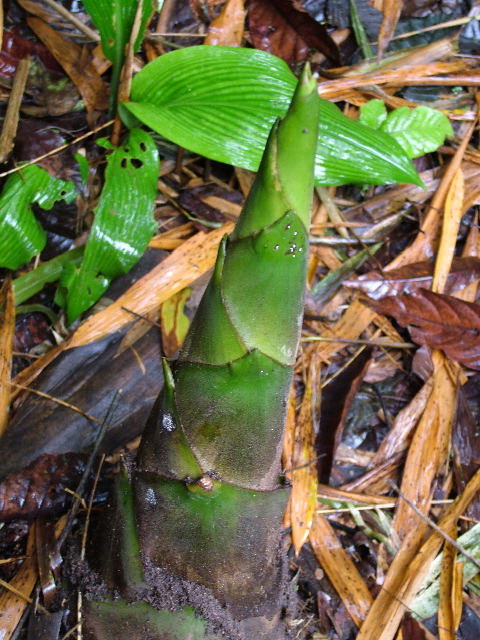 DSCF3010.JPG