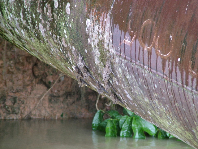 DSCF3013.JPG