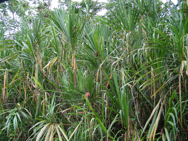 DSCF3015.JPG