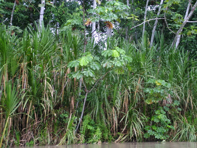 DSCF3016.JPG